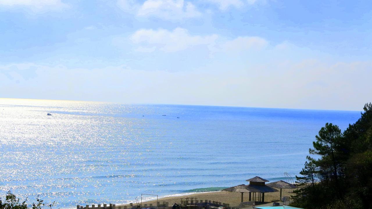 Bisser ابزور المظهر الخارجي الصورة